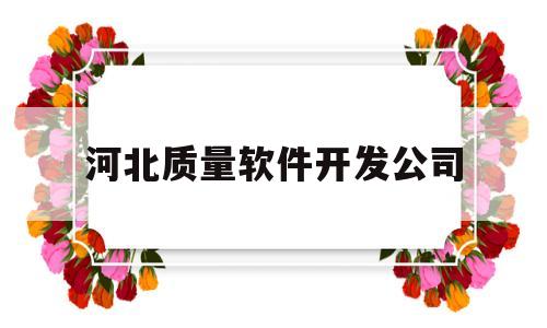 河北质量软件开发公司(河北省软件开发公司)