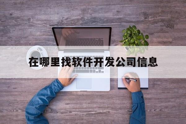 在哪里找软件开发公司信息(软件开发公司怎么去找客户)