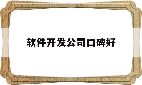 软件开发公司口碑好(软件开发公司做什么的)