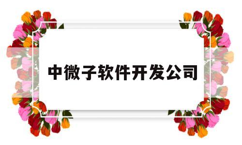 中微子软件开发公司(中微子通信概念股)