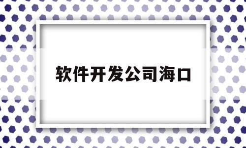 软件开发公司海口(海南软件开发有限公司)