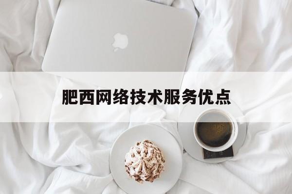 肥西网络技术服务优点(服务优点有哪些)