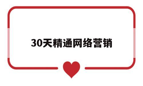 30天精通网络营销(网络营销从入门到精通)