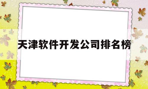 天津软件开发公司排名榜(天津有哪些软件开发公司)