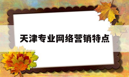 天津专业网络营销特点(天津专业网站营销)