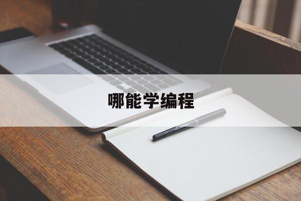 哪能学编程(编程在哪里可以学)