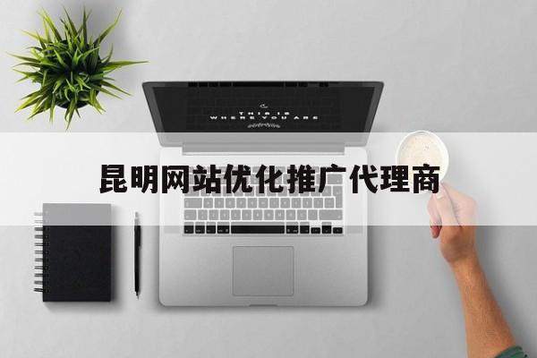 昆明网站优化推广代理商(昆明网站推广优化公司)