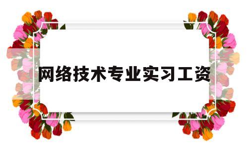 网络技术专业实习工资(网络技术人员工资待遇)