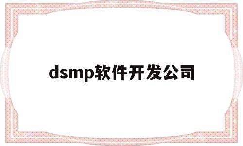 dsmp软件开发公司(厂家软件开发)