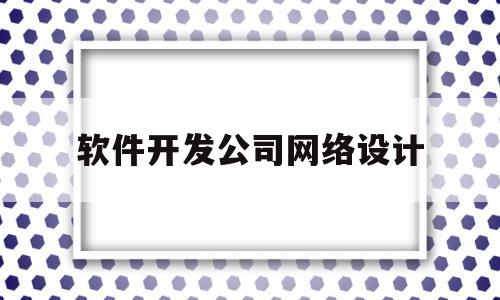 软件开发公司网络设计(网络软件开发公司排行榜100)