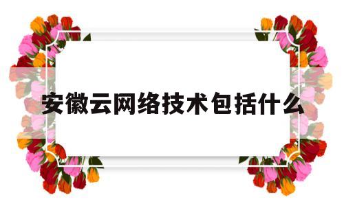 安徽云网络技术包括什么(合肥云网网络技术服务有限公司)