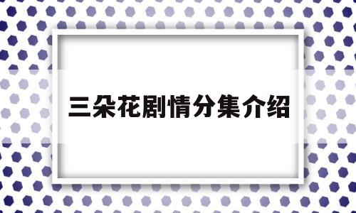 三朵花剧情分集介绍(三朵花电视剧演员表)