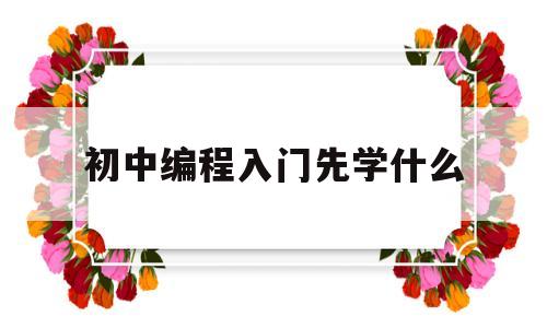 初中编程入门先学什么(初中生学编程先学什么)