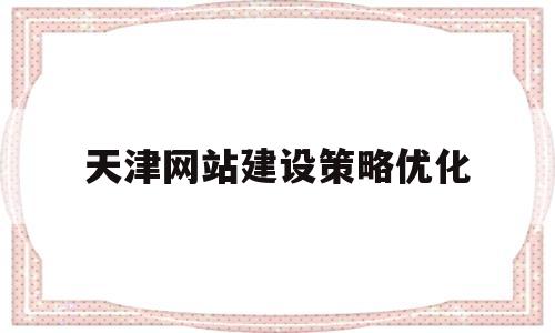 天津网站建设策略优化(天津网站建设方案)