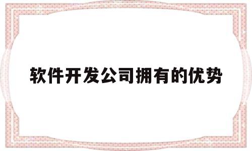 软件开发公司拥有的优势(软件开发公司拥有的优势和劣势)