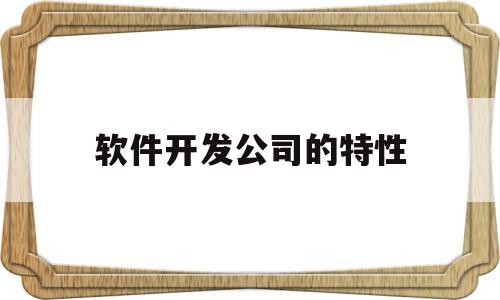 软件开发公司的特性(软件开发公司的特性有哪些)