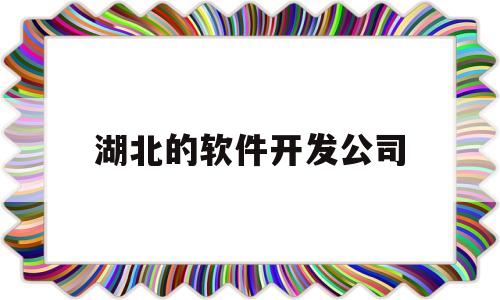 湖北的软件开发公司(武汉软件开发公司都分布哪里)