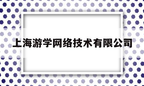 上海游学网络技术有限公司(庞大的游学市场,哪家游学机构比较好)