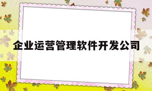 企业运营管理软件开发公司(软件企业运营模式)