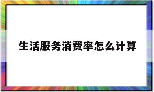 生活服务消费率怎么计算(生活服务取得的销售额占全部销售额的比重)