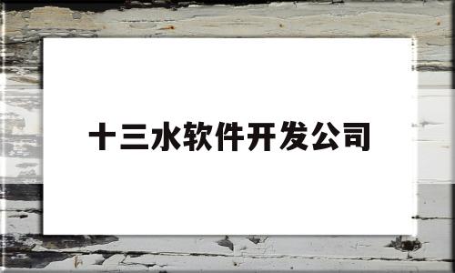 十三水软件开发公司(福建十三水万能辅助器)