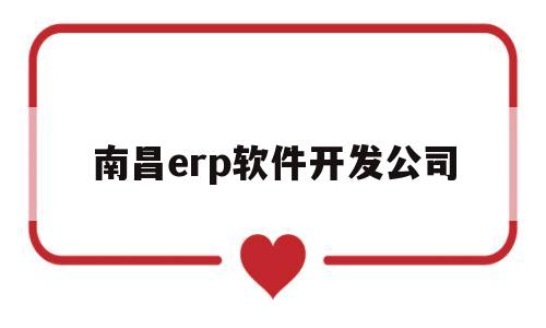 南昌erp软件开发公司(南昌的软件科技公司)