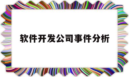 软件开发公司事件分析(软件开发公司事件分析怎么写)