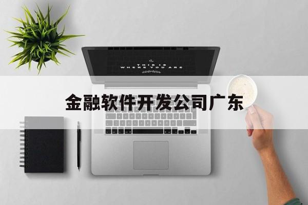 金融软件开发公司广东(金融软件开发招聘)