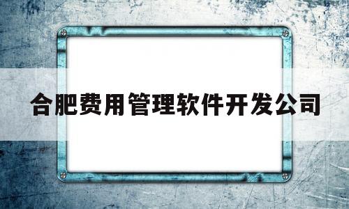 合肥费用管理软件开发公司(合肥费用管理软件开发公司排名)