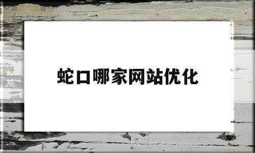 蛇口哪家网站优化(蛇口哪里有好玩的地方)