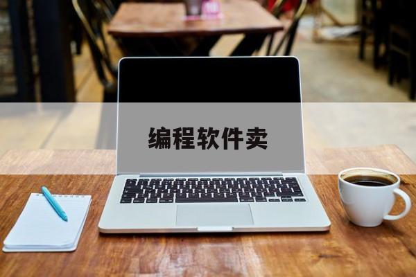 编程软件卖(编程软件卖家下载)