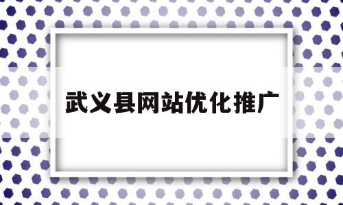 武义县网站优化推广(武义县网络推广公司)
