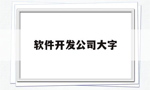 软件开发公司大字(中国十大软件开发公司排名)