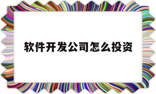 软件开发公司怎么投资(软件开发公司怎么盈利)