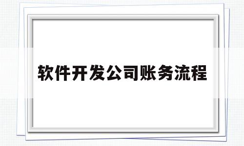 软件开发公司账务流程(软件开发公司会计账务)