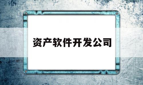资产软件开发公司(资产软件开发公司有哪些)