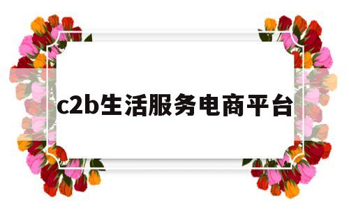 c2b生活服务电商平台(c2b电商平台有哪些)