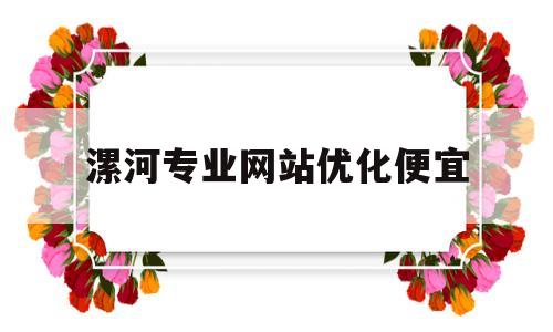 漯河专业网站优化便宜(漯河专业seo首选)