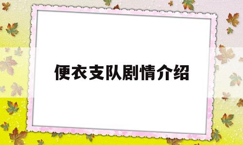 便衣支队剧情介绍(便衣支队电视剧剧情介绍)