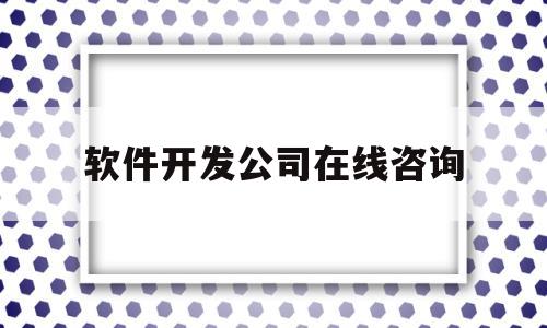 软件开发公司在线咨询(软件开发公司网站)