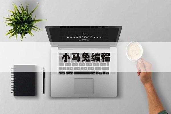 小马兔编程(编程中的算法)