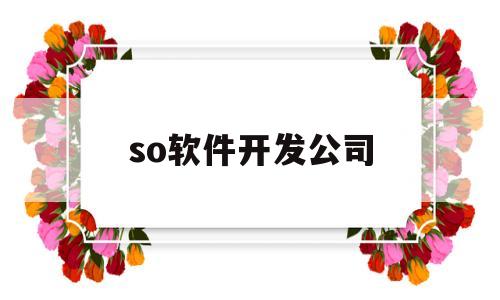 so软件开发公司(so软件开发公司带来的启示)