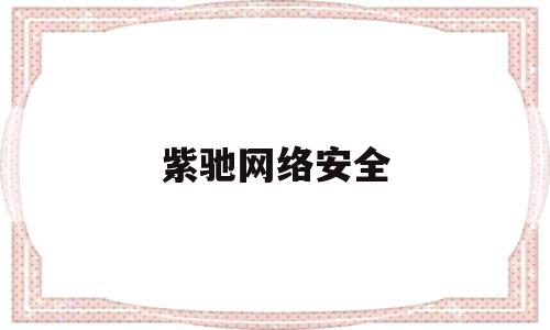 紫驰网络安全(紫驰网络是不是阿里的)