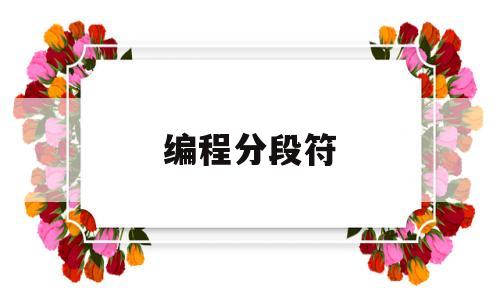 编程分段符(编程分段函数例题)