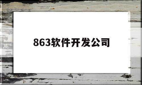 863软件开发公司(北京软件开发公司名单)