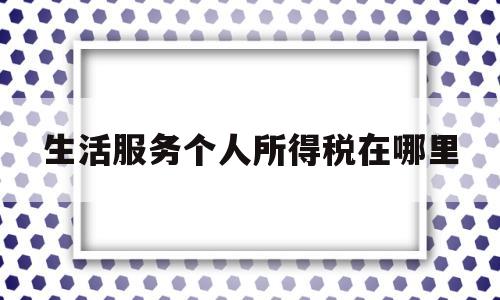 生活服务个人所得税在哪里(生活服务个人所得税在哪里申报)