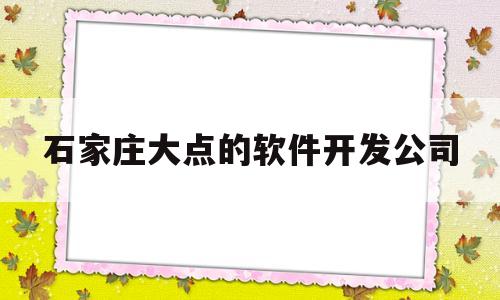 石家庄大点的软件开发公司(石家庄软件开发公司有几家)
