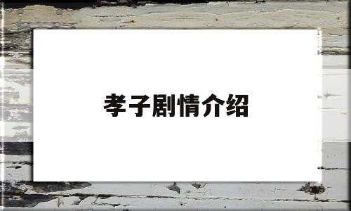 孝子剧情介绍(孝子剧情介绍电视猫)