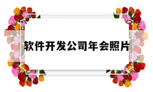 软件开发公司年会照片(软件公司发布会致辞)