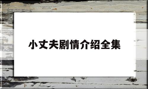 小丈夫剧情介绍全集(小丈夫 电视剧简介)